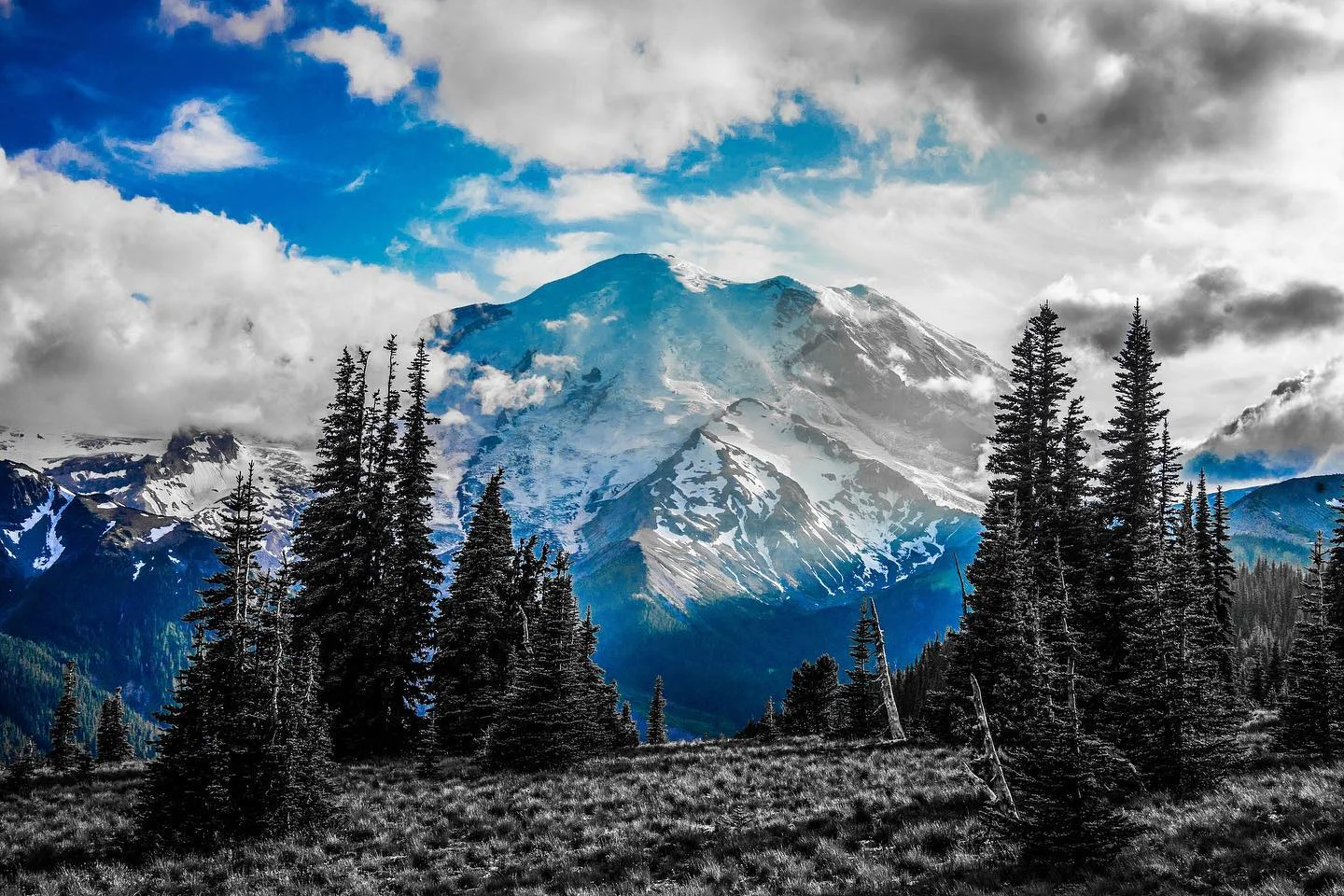 Rainier