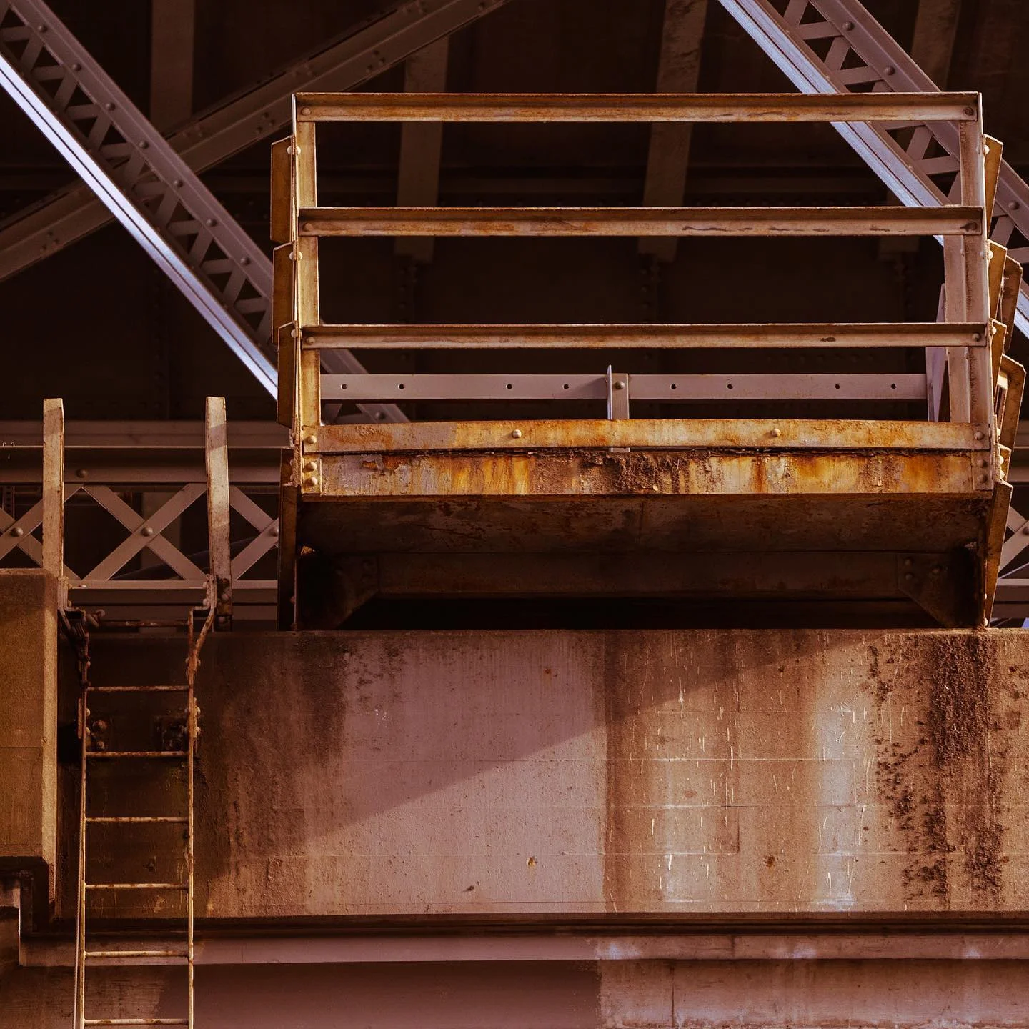 Photograph by Matt Misner