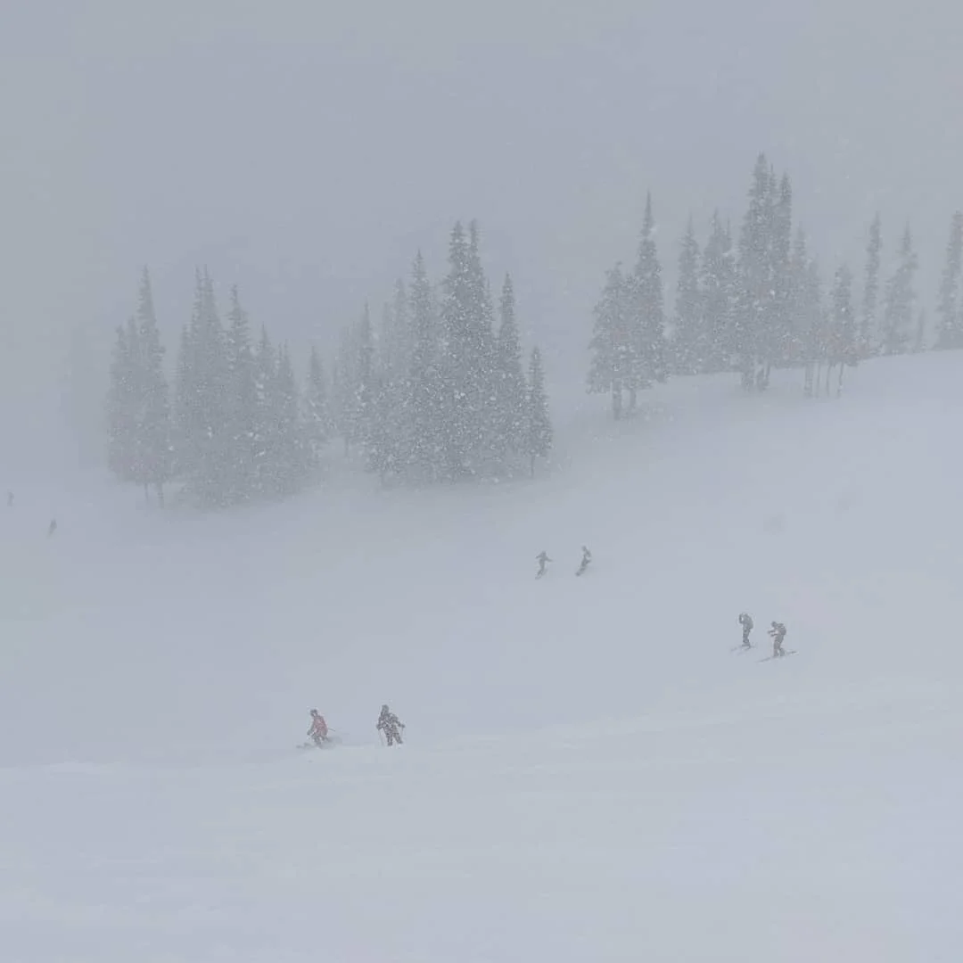 7in of powder.