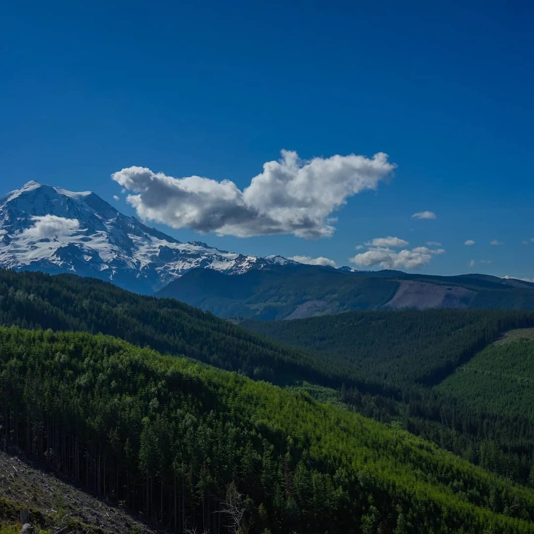 Photograph by Matt Misner