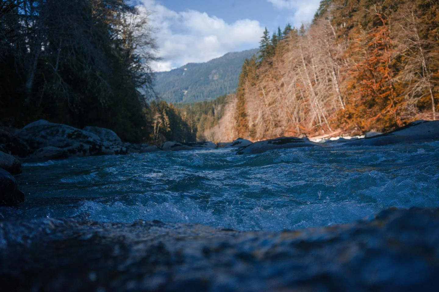 Photograph by Matt Misner