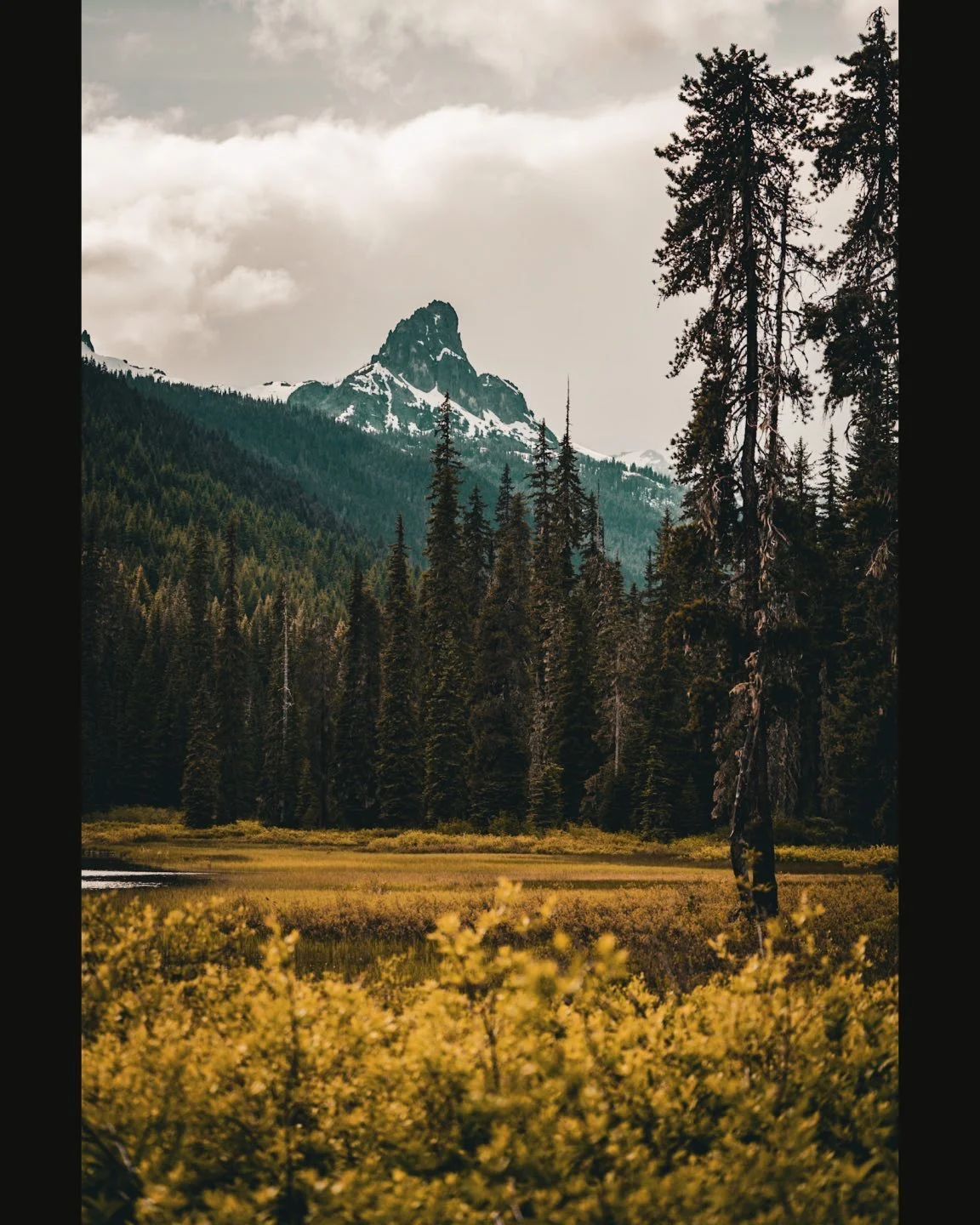 Cathedral Rock