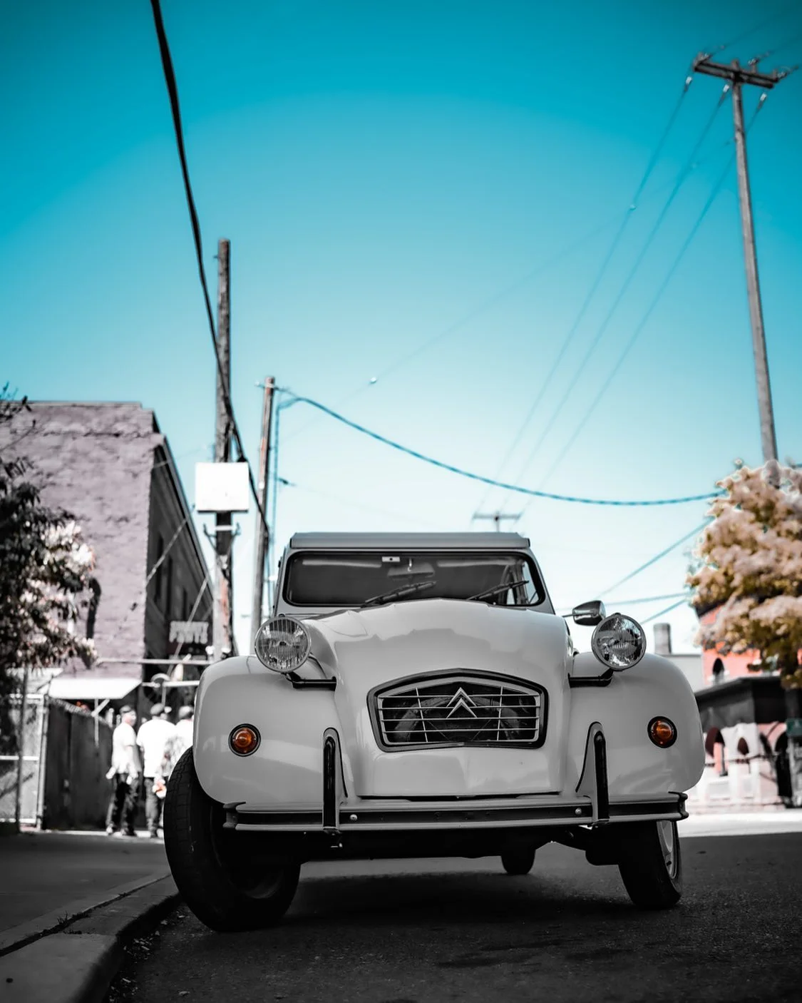 Photograph by Matt Misner
