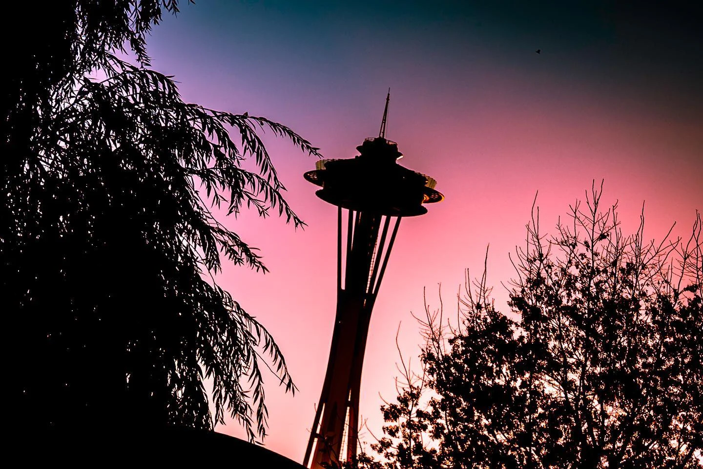 Photograph by Matt Misner