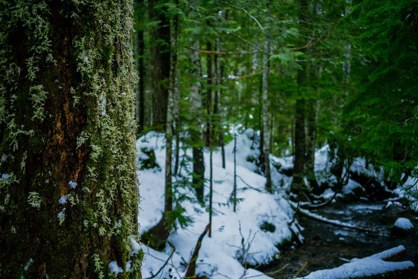 Photograph by Matt Misner