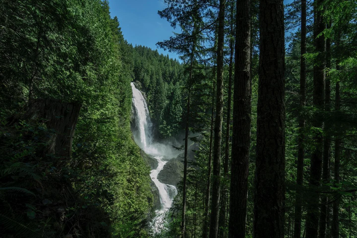 Photograph by Matt Misner