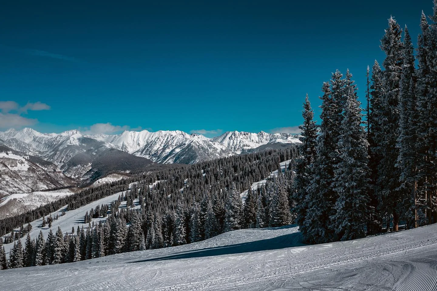 Photograph by Matt Misner