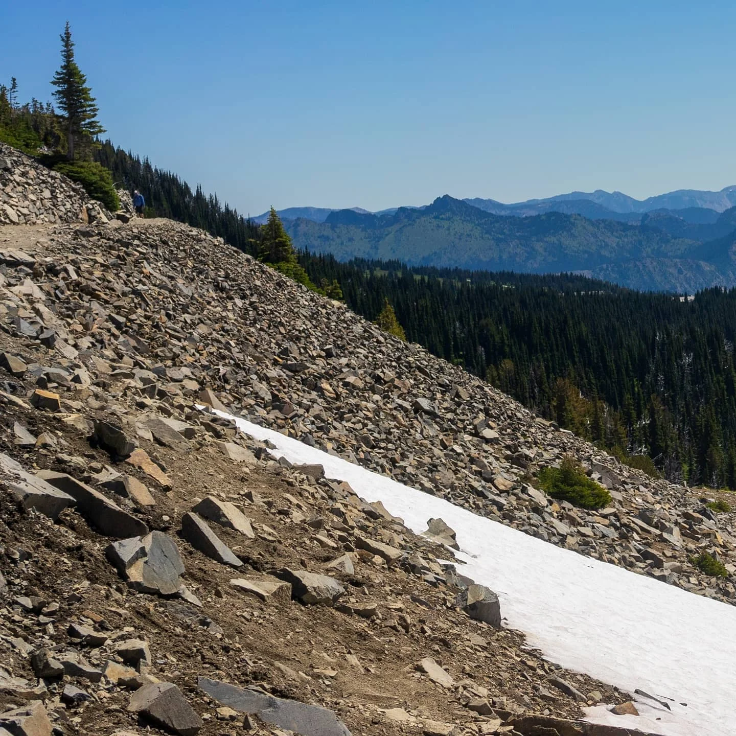 Photograph by Matt Misner