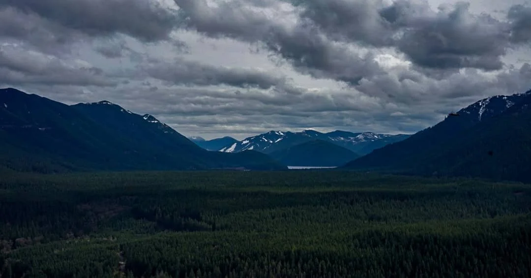 Top of rattlesnake