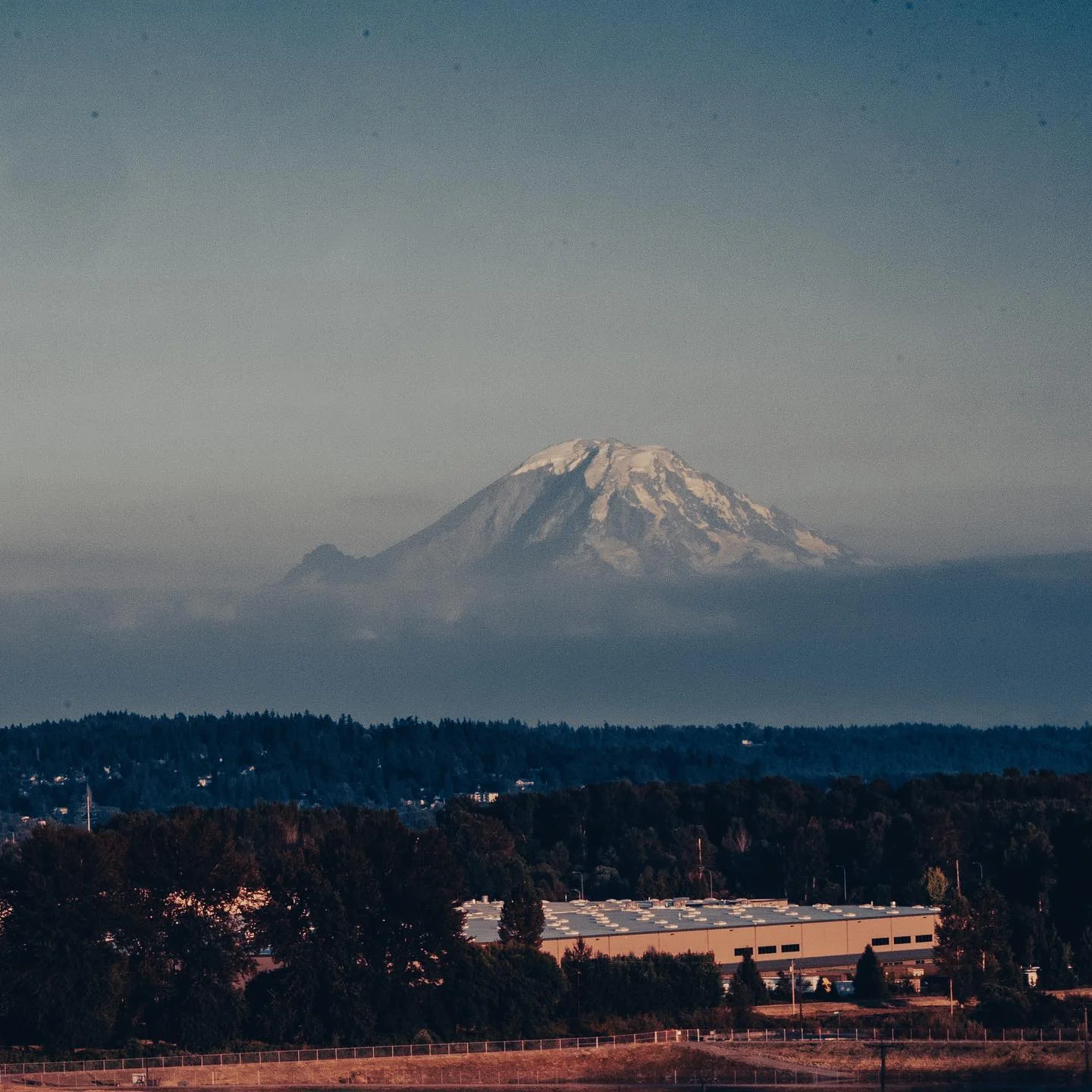 #rainier