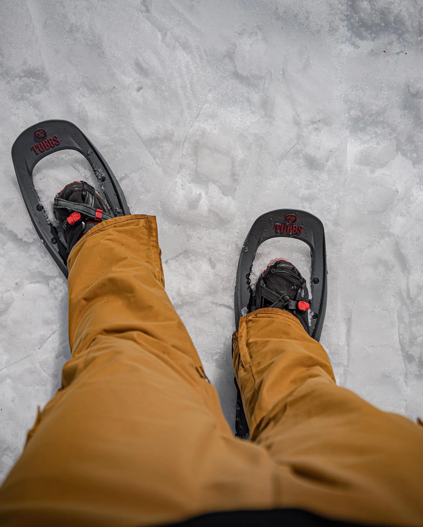 Snowshoeing