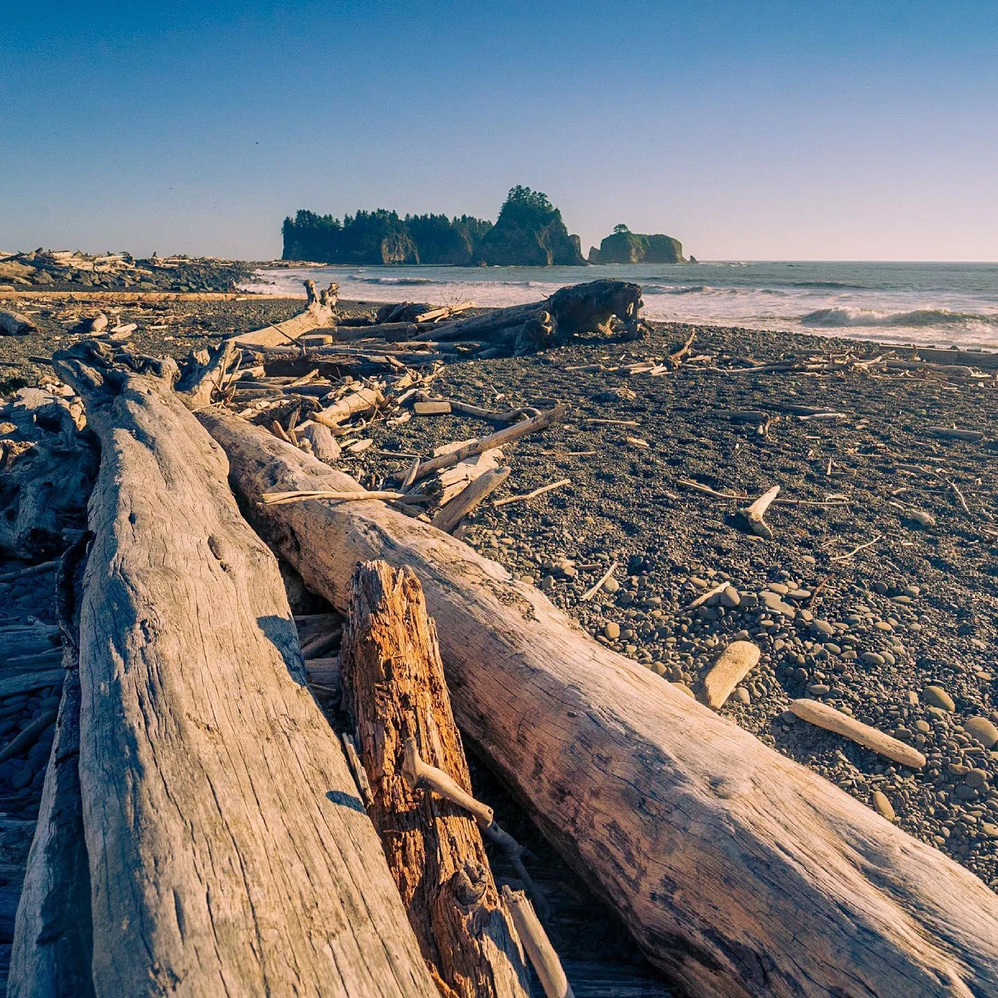 #pnw #ocean #island #summer