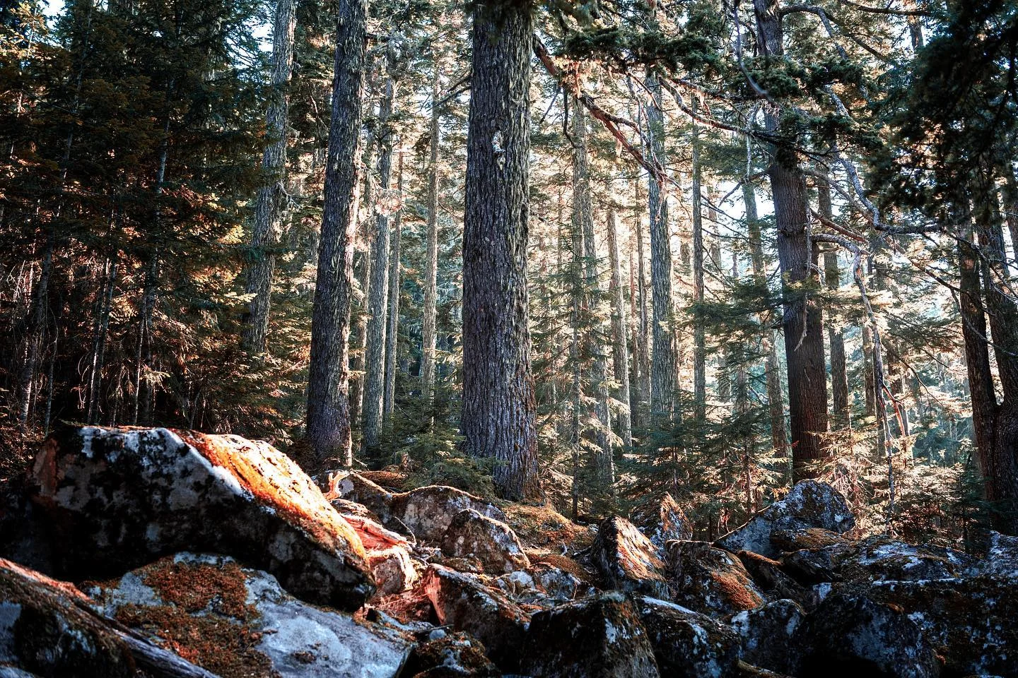 Photograph by Matt Misner