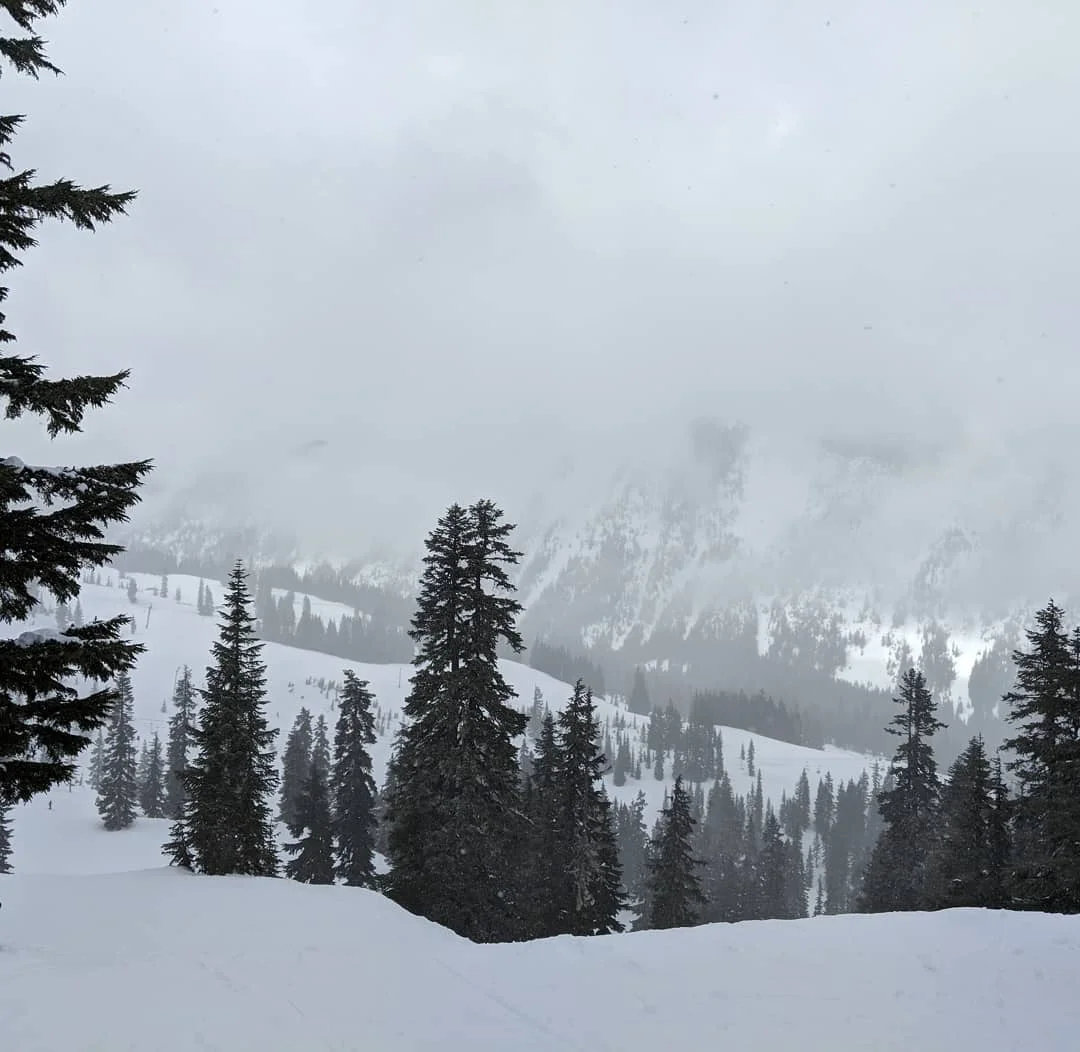 It's snowing.