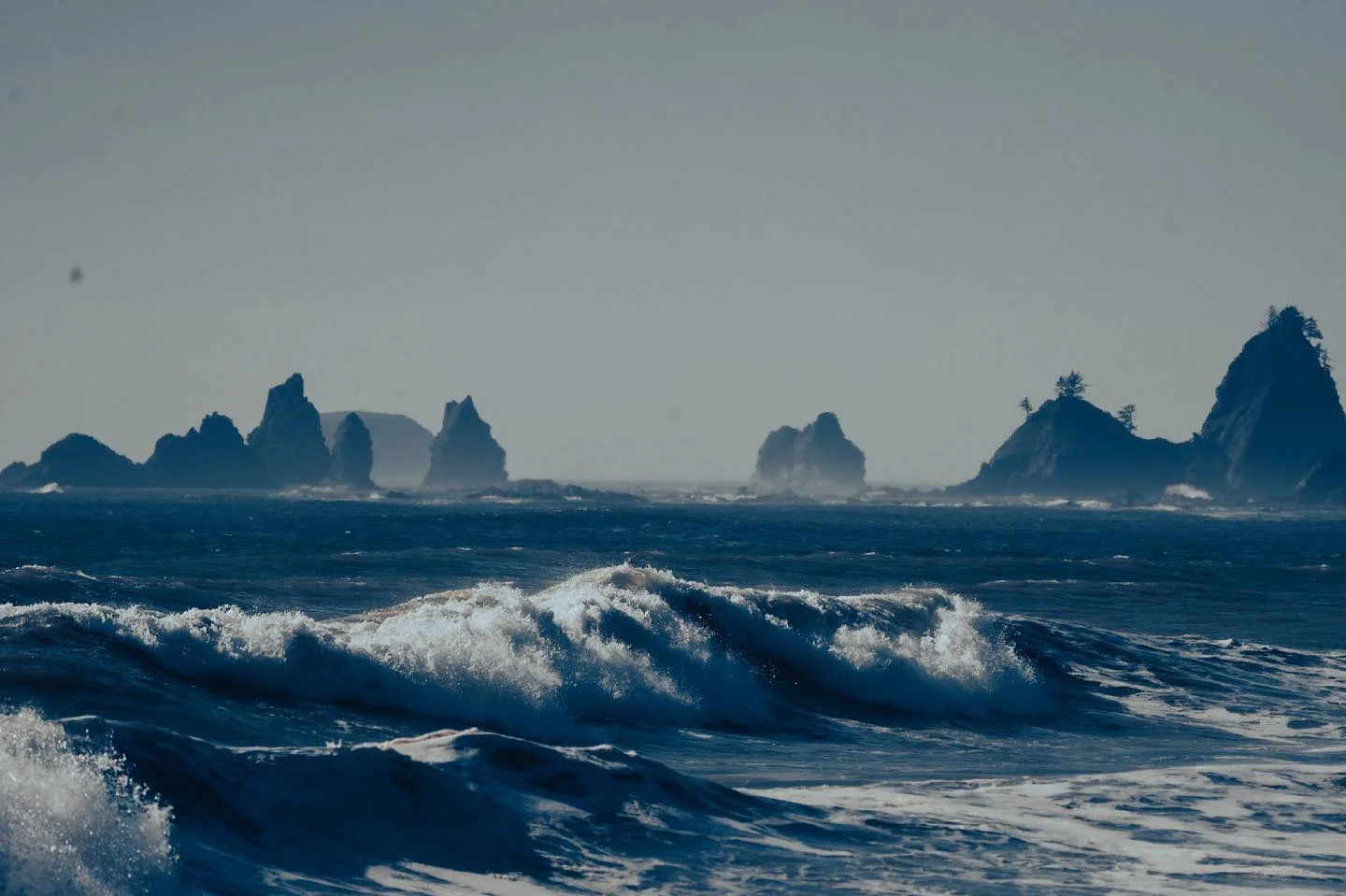 #olympicnationalpark #pnw #ocean #mist #summer