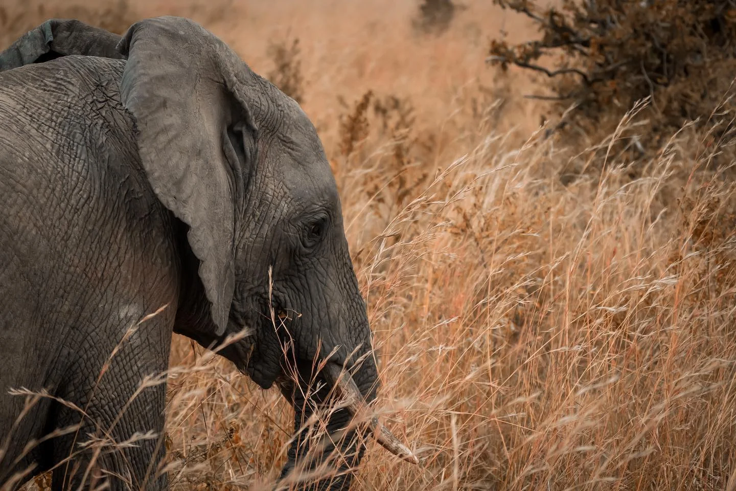 Photograph by Matt Misner