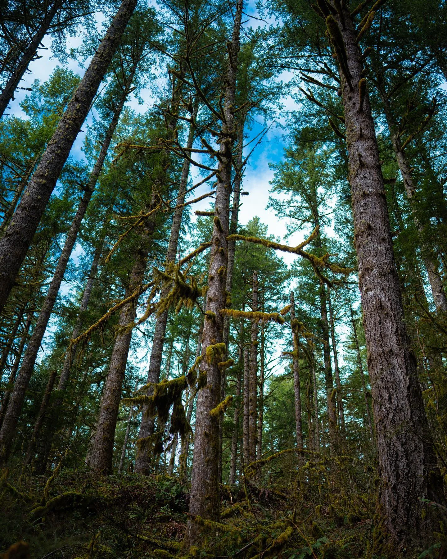 Photograph by Matt Misner