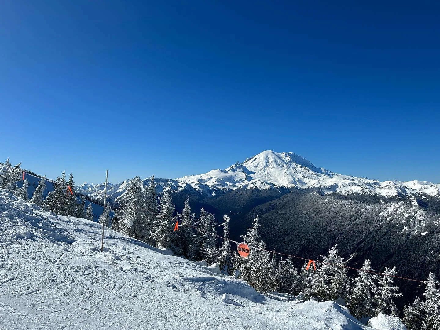 First day up of the season. Can’t get over blue bird days.