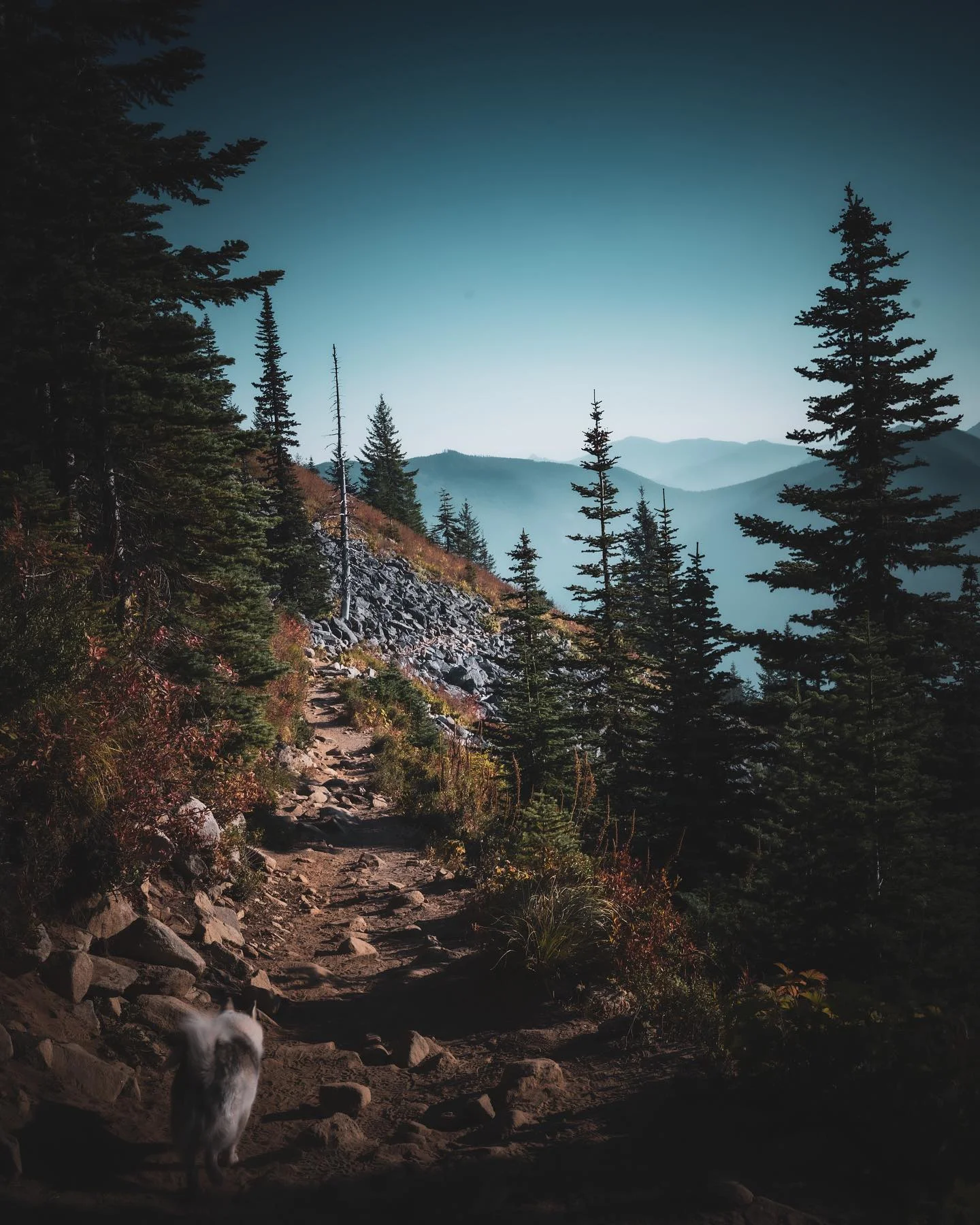 Photograph by Matt Misner