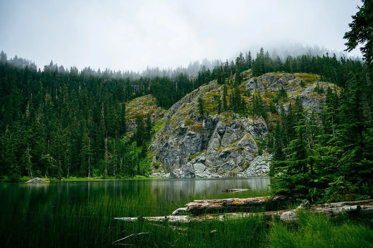 Photograph by Matt Misner