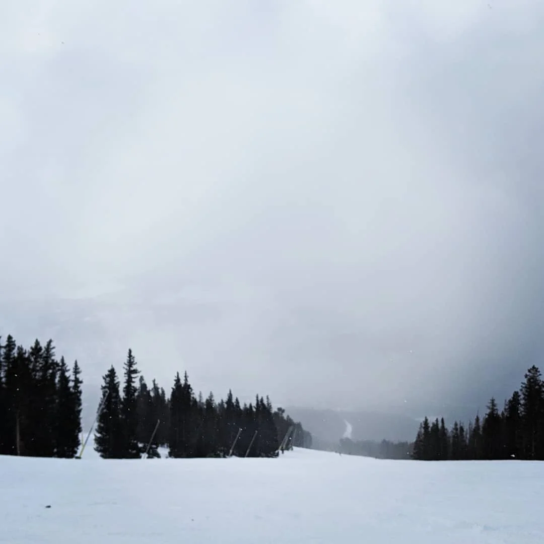Photograph by Matt Misner