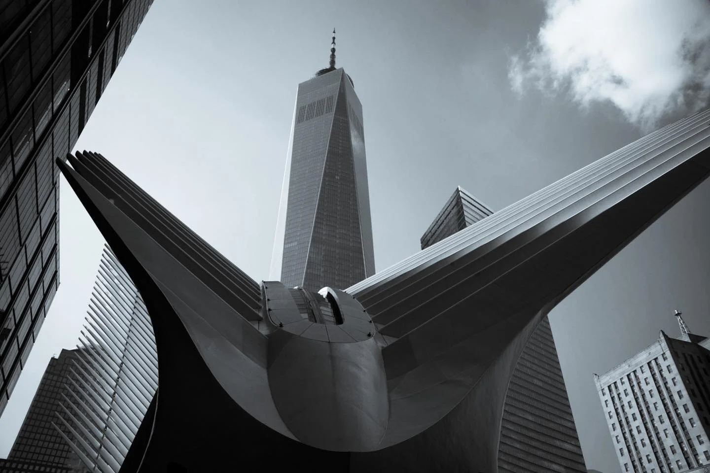 Photograph by Matt Misner