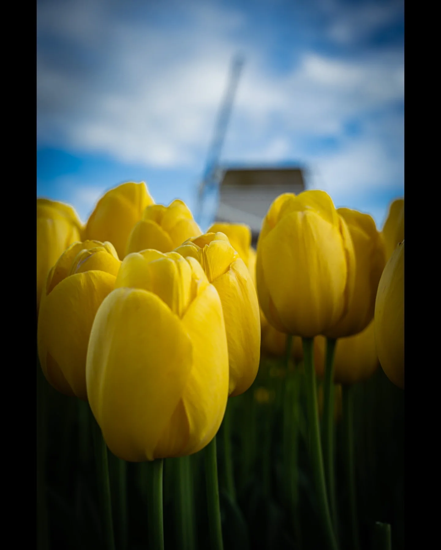 Photograph by Matt Misner