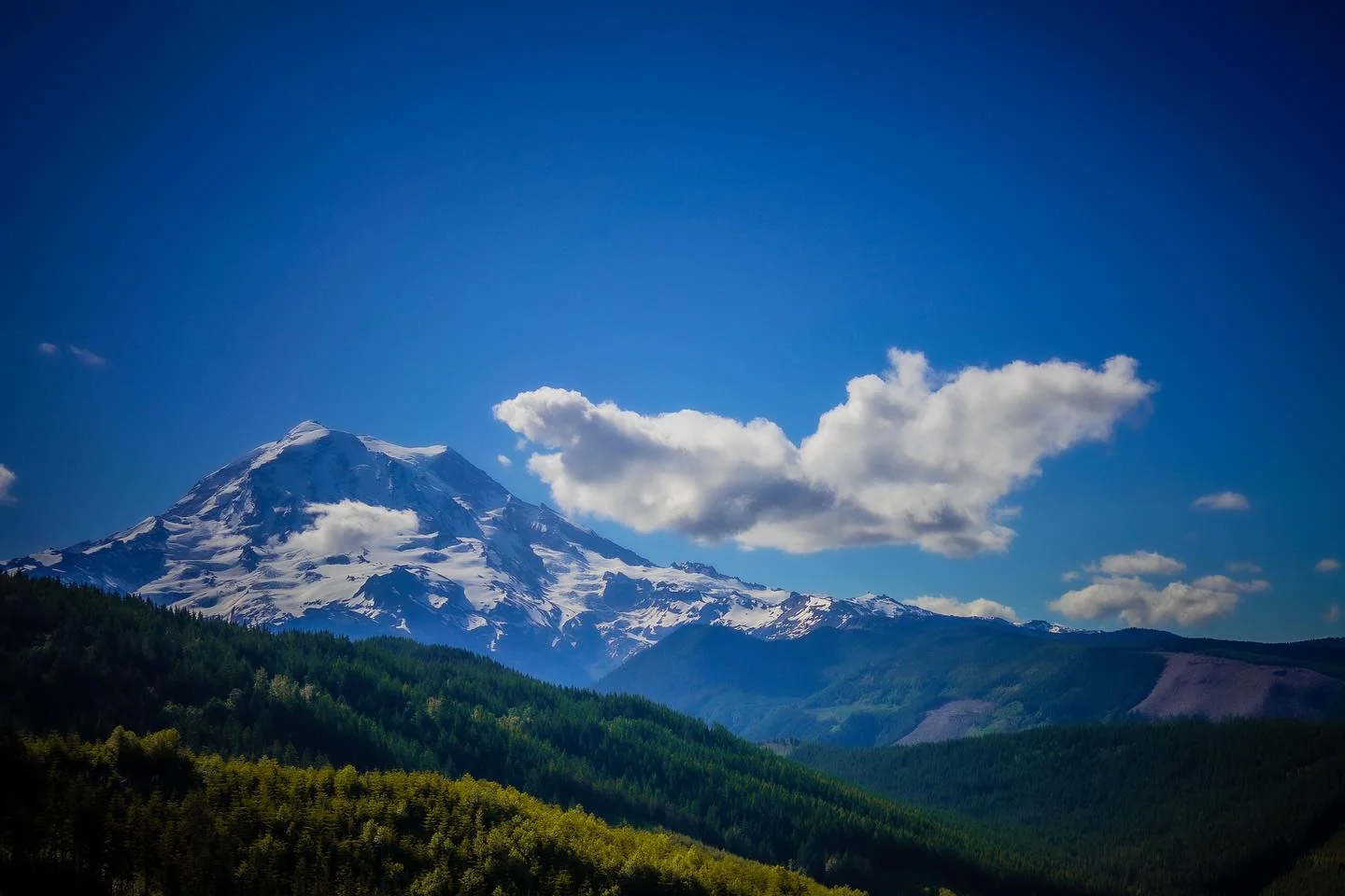 #ranier #peeking #necroposting  #a7ii #sonyalpha #samyang #35mm