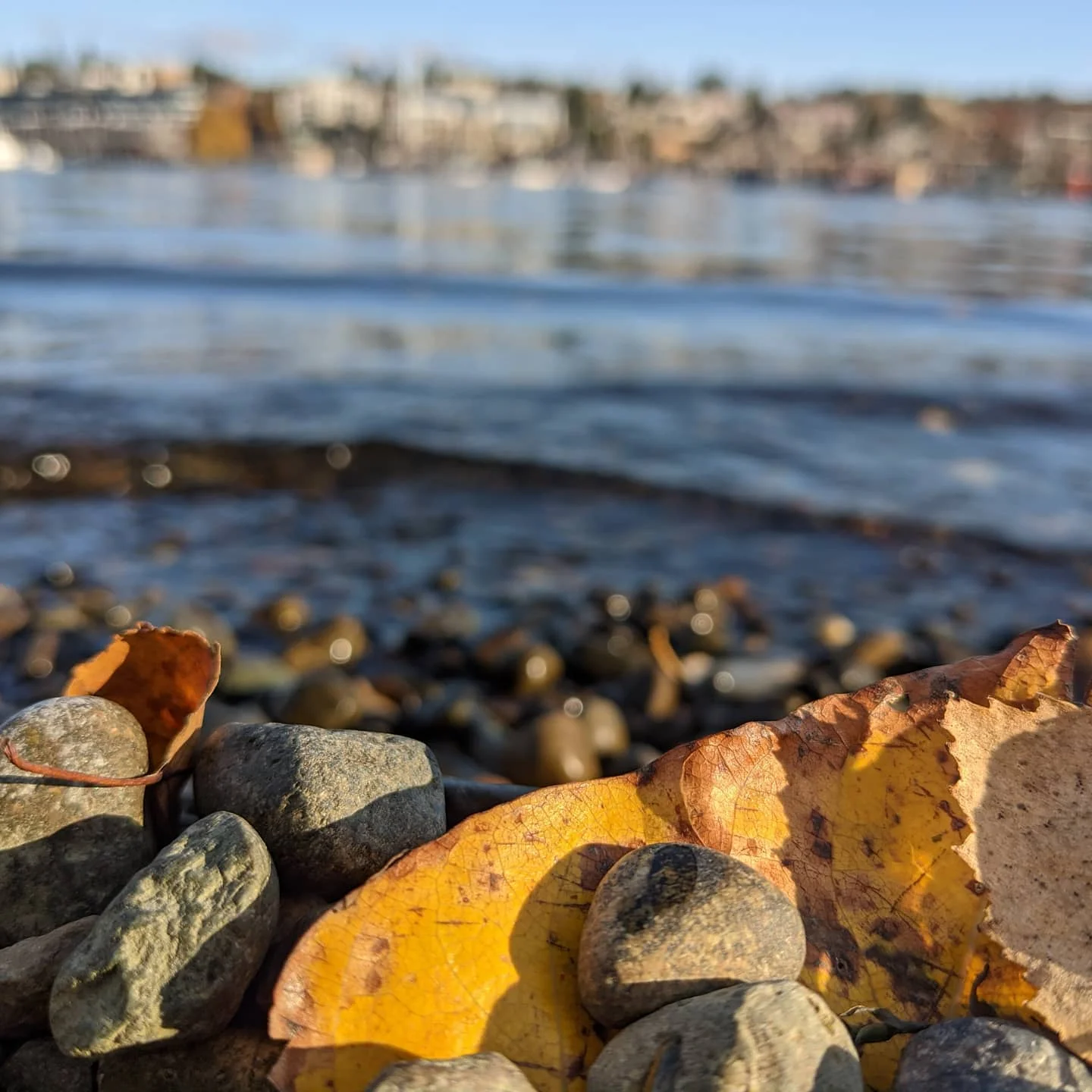 Photograph by Matt Misner