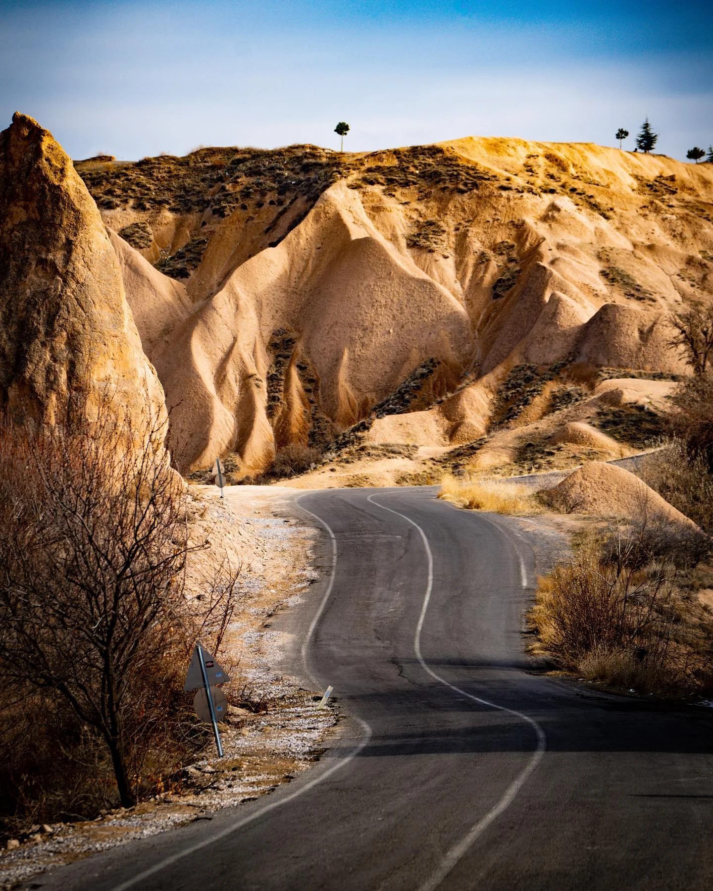 Photograph by Matt Misner